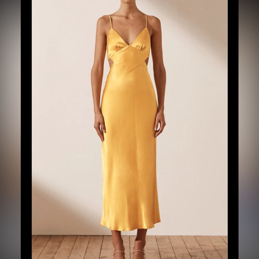 NWT Shona Joy Dress